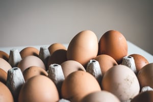 food allergen management