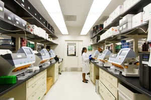 audit inspections in healthcare