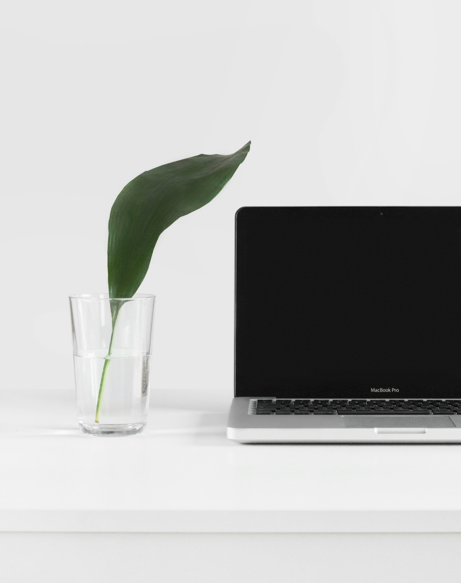 sarah-dorweiler-QeVmJxZOv3k-unsplash